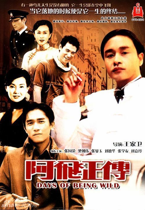 威尼斯音乐学院市场开发文凭证书